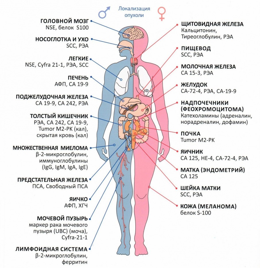 норма онкомаркерів