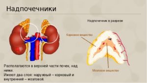 Аденома наднирника у жінок - що це таке?